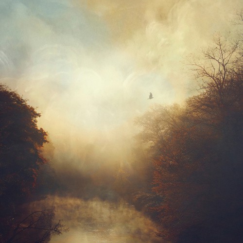 This Light (TRANSPARENT COPPER COLOR VINYL) by Stray Theories [VINYL]