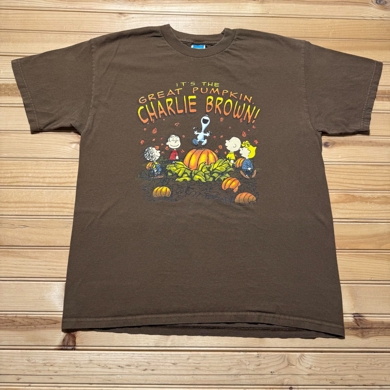 Vintage Y2K Peanuts It's The Great Pumpkin Charlie Brown Snoopy T-Shirt - Large