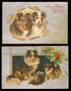 SHETLAND SHEEPDOG Sheltie Collie Embossed Colour Birthday Wishes Postcards X 2