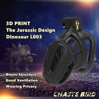 Sissy Chastity Cage Small Cages with 4 Sizes Rings Lock for CBT Chastity Devices