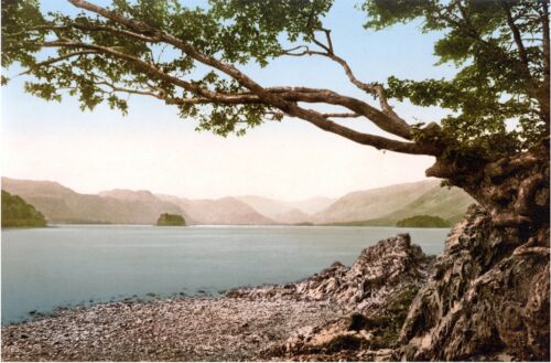 5283.View of small island in smallriver.POSTER.Decoration.Graphic Art - Afbeelding 1 van 1