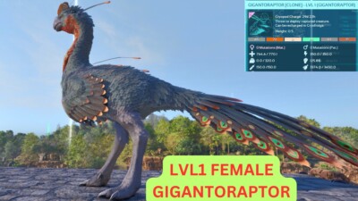 Ark Survival Ascended PVE LEVEL 1 GIGANTORAPTOR FEMALE (CLONE) XBOX/PC/PS5