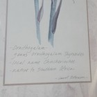Bild 9 von 12