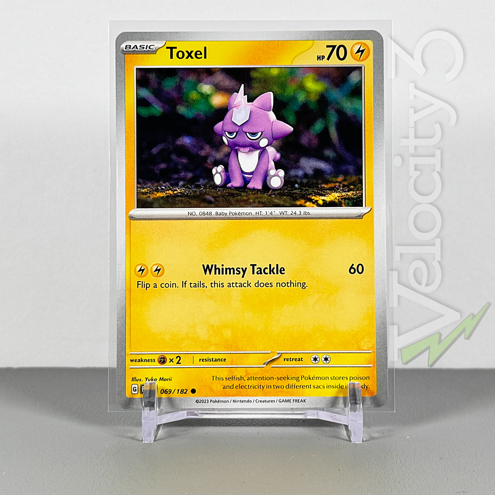 Pokemon TCG Card - Toxel 69/182 Common | 2023 Paradox Rift | NM/Mint