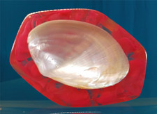 Shell In Pink Lucite Soap Dish, 6", Vintage Soap Dish
