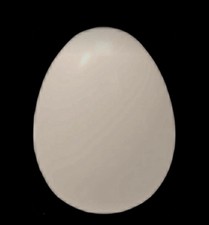 100 pet eggs cheap adopt me