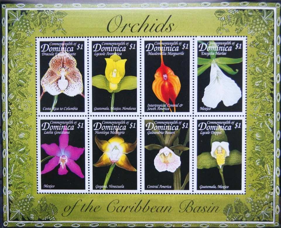 DOMINICA 1999 KLB 2621-28 Orchideen der Karibic Caribean Orchids Flowers ** - Bild 1 von 1