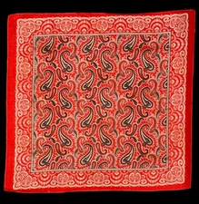 Antique Paisley Bandanna Handkerchief #11