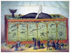 4470.Ocean.fish tank in circus carriage.whale.POSTER.decor Home Office art