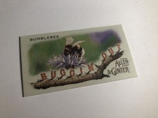 2020 Allen & Ginter Mini Buggin Out Bumblebee 