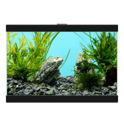 Ciano Aqua 15 Aquarium Black 13 litre Starter Fish Tank with Filter and Lid - Picture 3 of 5