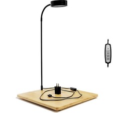 Aquarium Light Full Spectrum LED, for Under 3 Gallon Fish Tank, Light with Ti...