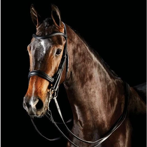 Collegiate Comfitec Weymouth Bridle - Thumbnail 4