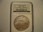 2006-W- Silver Eagle   NGC MS-69 20th Anniversary
