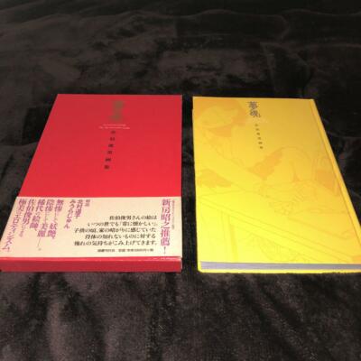 Toshio Saeki Art Book 3 books sold in bulk Akaihako etc. USED from