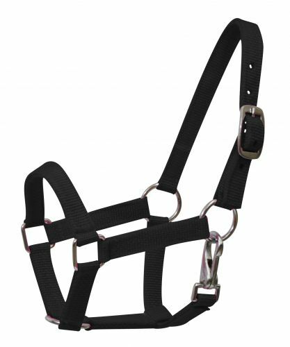New BLACK GREEN PINK PURPLE RED Nylon Adj Halter w Clip MINI Horse or PONY 5946 - Picture 2 of 19