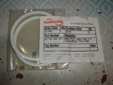 2 FLOWSERVE 001703.925.000 GASKET PTFE 3.25X2.88 0.15 THICK PLASTIC  (146-1)