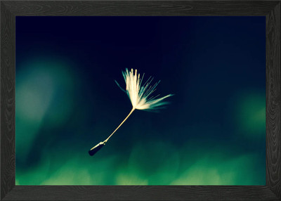 Im Wind weht gerahmtes Wandbild Poster Leinwanddruck Bild
