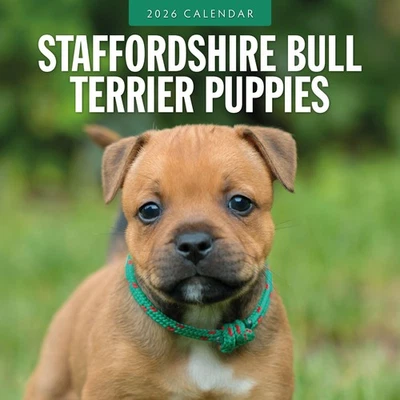 RED ROBIN PUBLISHING Staffordshire Bull Terrier Puppies 2026 Square Wall Calendar