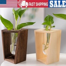 Plants Propagation Station Glass Planter Plant Terrarium with Wooden Stand