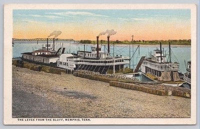 Vintage Memphis Tennessee Levee Bluff Steamboats Cotton Bales Postcard 1922