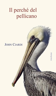 John Ciardi A. Macchia L. Fontanella Il perché del pellicano (Paperback)