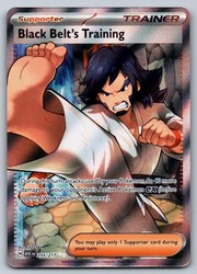 Black Belt's Training 255/217 Ascended Heroes Full Art Ultra Rare