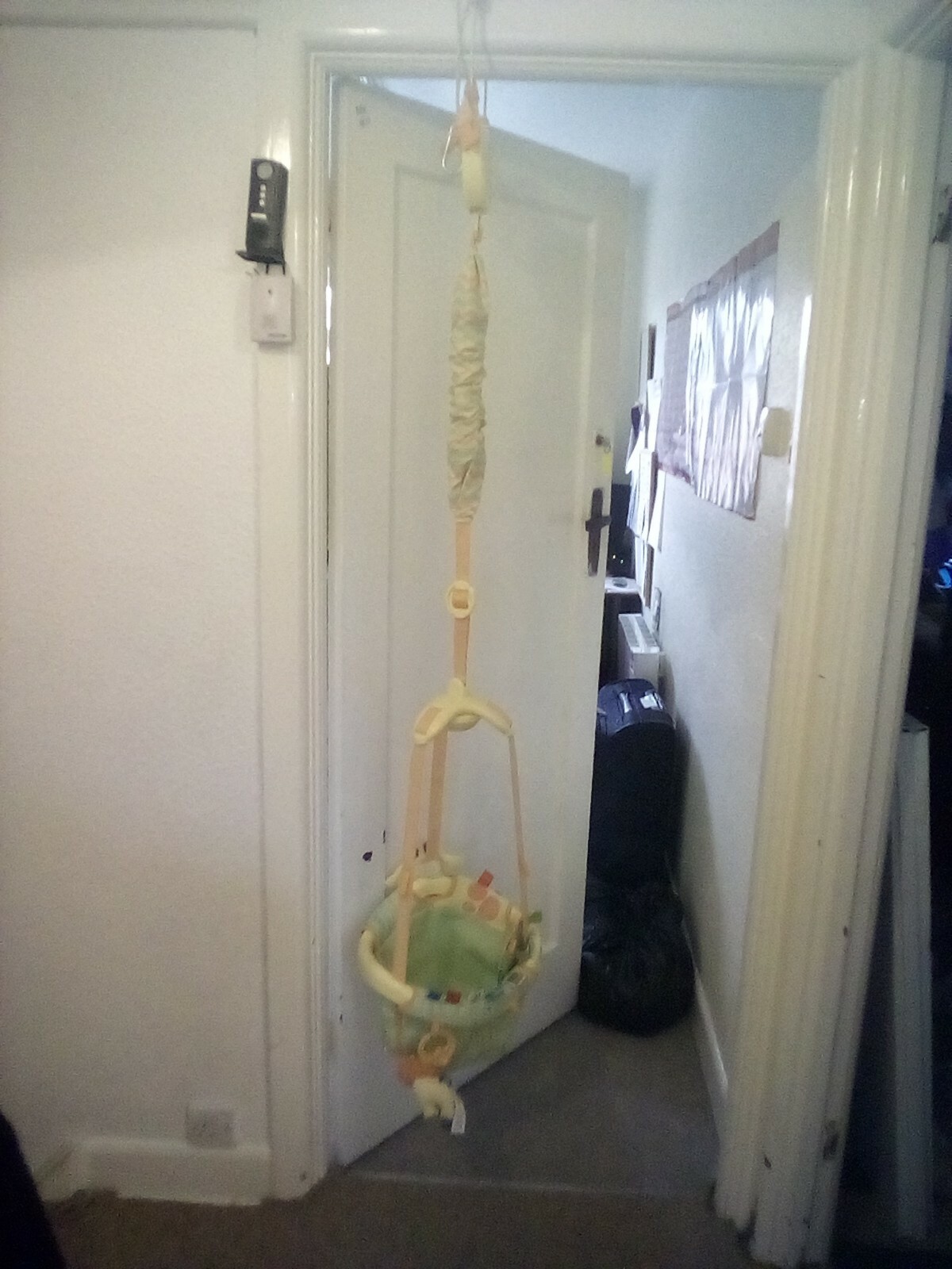 taggies door bouncer