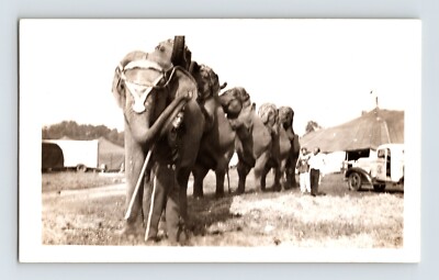 Clyde Beatty Circus 1945 Photo Elephants Performing 2.75 x 4.5