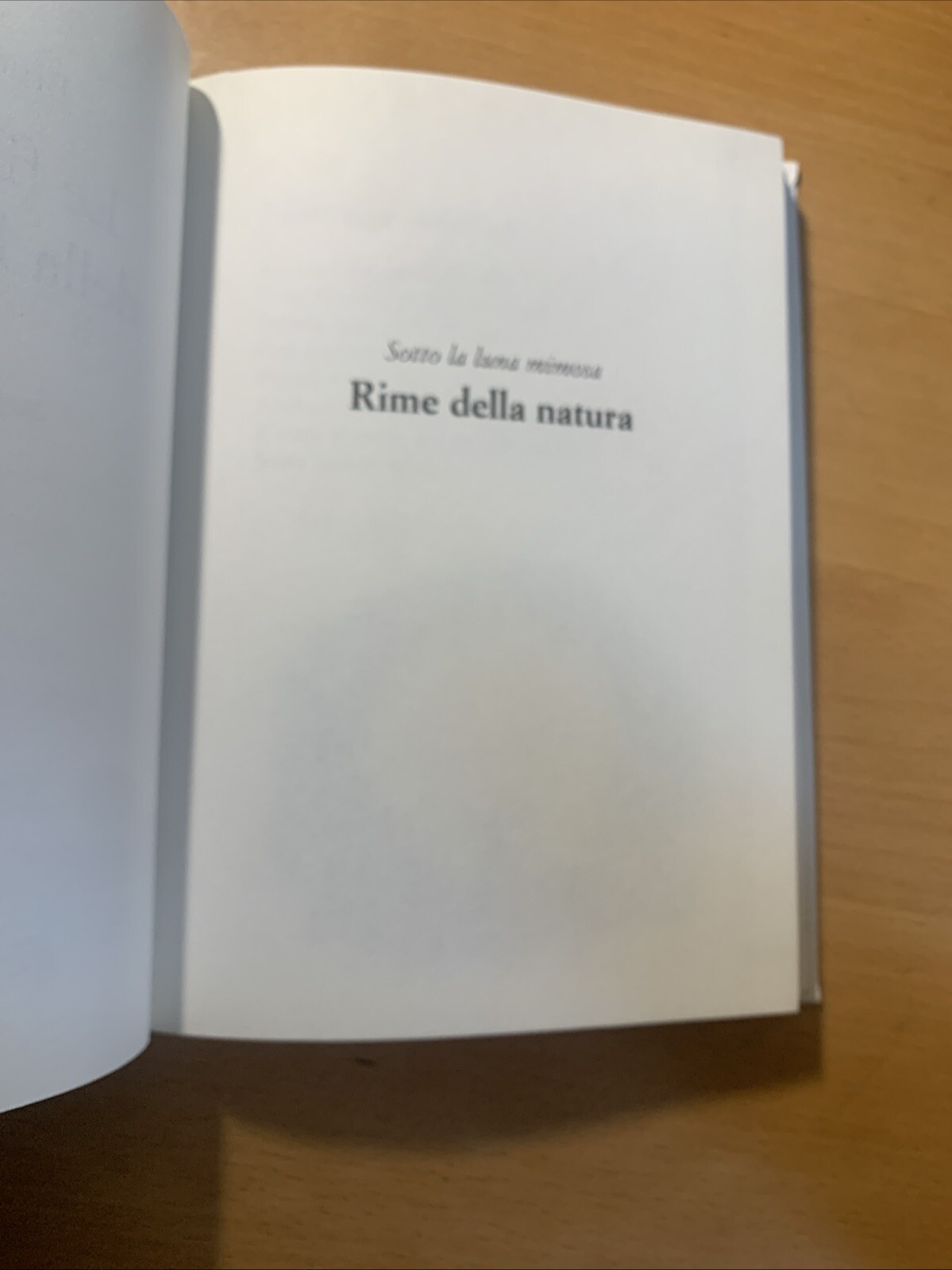 Foto 9 di 10