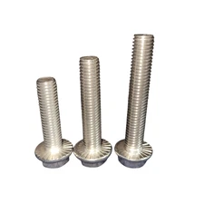 M10 Hexagon Flange Bolt 304 Stainless Steel 12/20/25/30/40/50/60/65mm Qty. 10