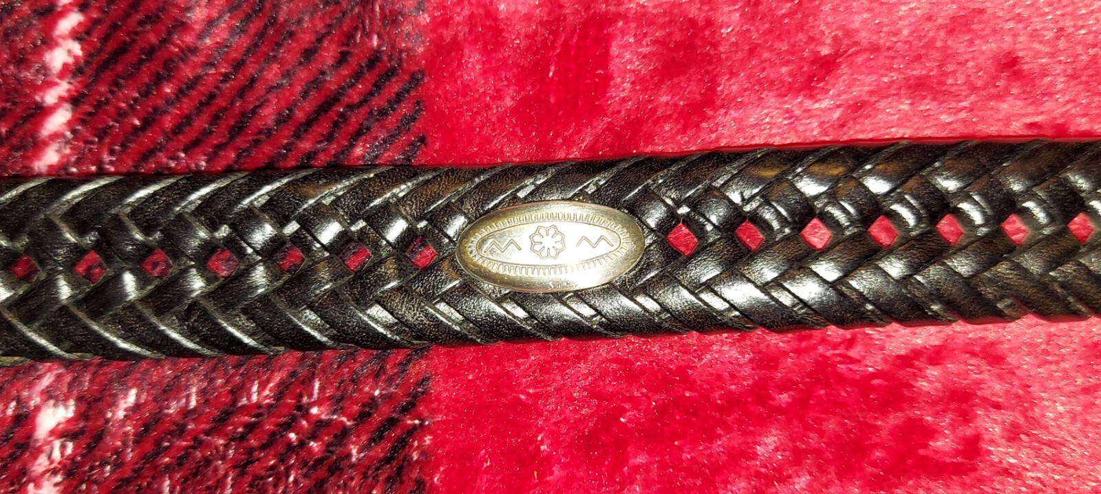 Picture 8 of 14