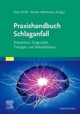 Praxishandbuch Schlaganfall | Peter Kraft (u....