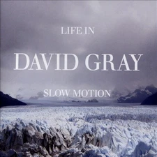 Life In Slow Motion by Gray, David [Audio CD]