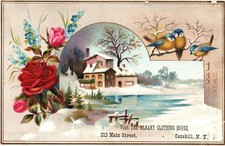 Snow-Covered HOME On ALBANY CLOTHING HOUSE Of CATSKILL, NY Victorian Trade Card