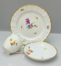 KPM,Rocaille, Kaffeegedeck, Dekor 36, Blumenmalerei mit Insekten & Gold