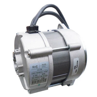 Riello RDB Burner Motor with Capacitor 20071577
