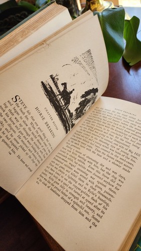 Wild Brother book by Mary Patchett, Illustrated by John Rose, 1954 1st Ed HC - Picture 9 of 11