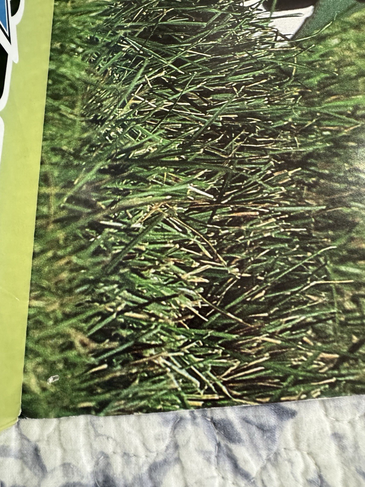 Picture 5 of 7