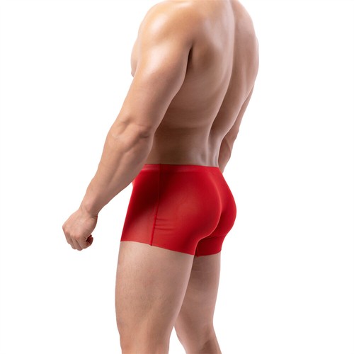 Mens See Through Underwear Sheer Mesh Bulge Pouch Boxer Shorts Underpants Trunks - Picture 32 of 41