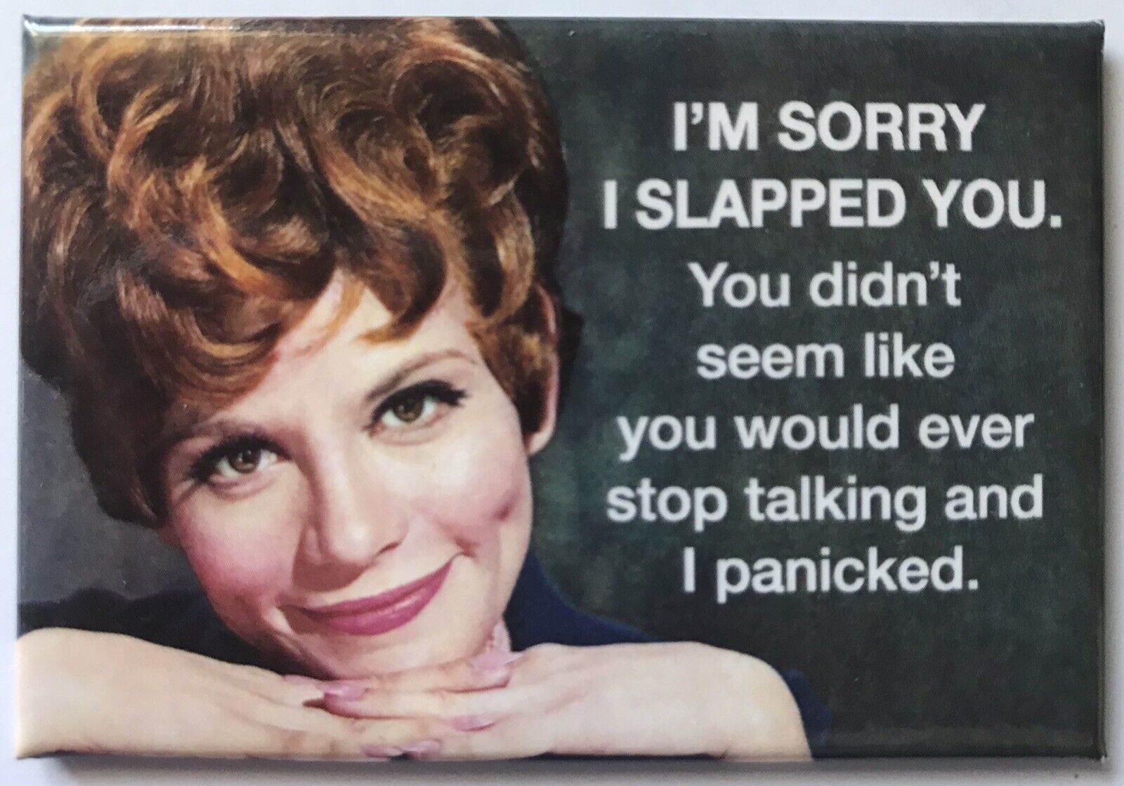 Funny Meme Magnet: I'm Sorry I Slapped You. You Didn't Seem Like You Would…  | eBay