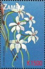 Zambia #Mi1153 MNH 2000 Cozacias Spatulata 874d