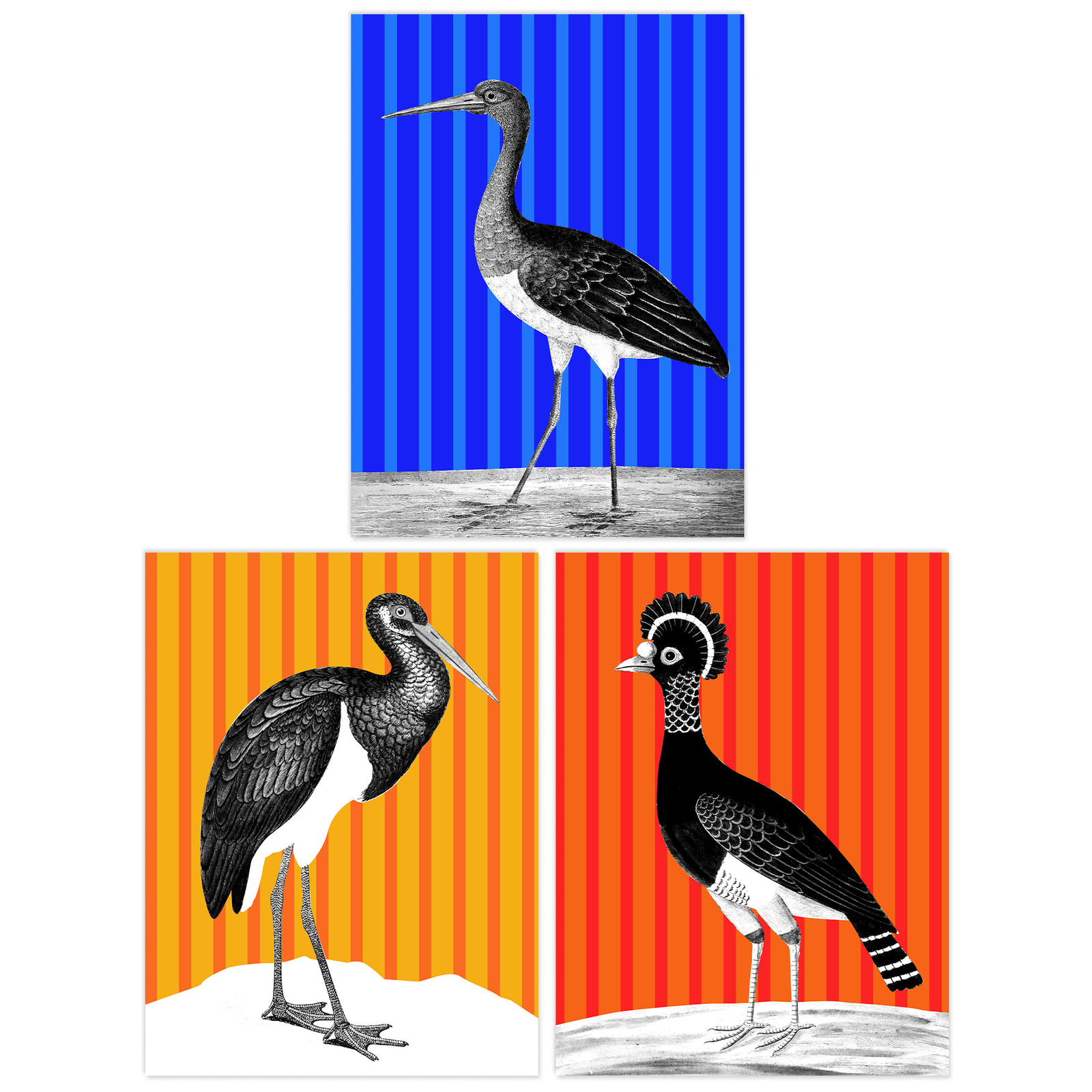 Pack of 3 Bird Striped Colourful Bright Modern Unframed Art Prints Set A4