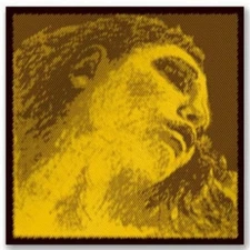 Pirastro Evah Pirazzi Gold Violin E String 4/4 Medium Stainless Steel Loop-End