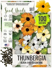 , Black-Eyed Susan Vine Seeds - 100 Heirloom Seeds for Planting Thunbergia al...