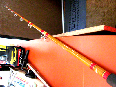 Near MINT Fenwick Pacificstik E-Glass P1665HC 6'6
