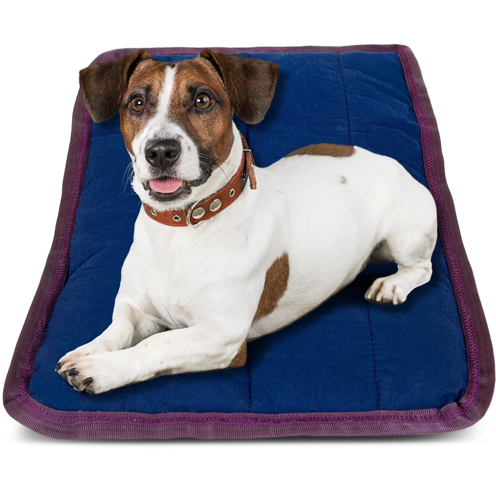 Jeffers Pet Comfort Dog Pillow, Tiny 12" x 18", Navy – Machine Washable Dog Bed
