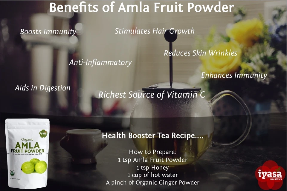 Amla Powder Certified Organic Amalaki  Indian Gooseberry 4,8 oz,1lb FastShipping - Image 2 of 4