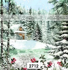 (2712) TWO Paper LUNCHEON Decoupage Art Craft Napkins - COZY WINTER CABIN SNOW