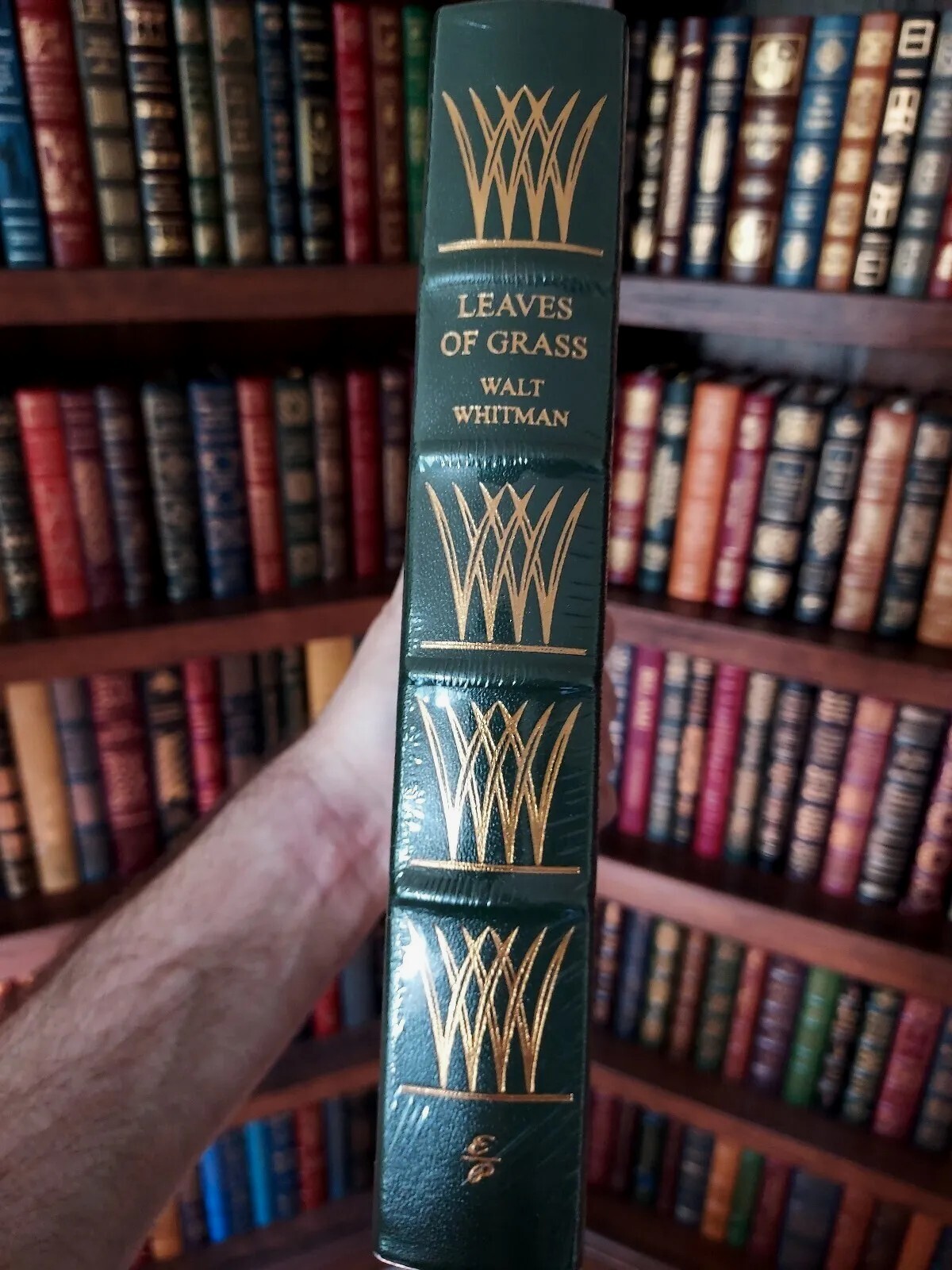 New Walt Whitman Photos Unveiled: Meisterdrucke - 05zmw0w